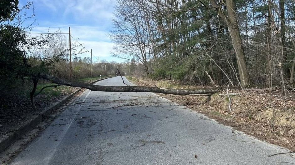 Novarese, numerosi interventi sulle strade provinciali per il forte vento